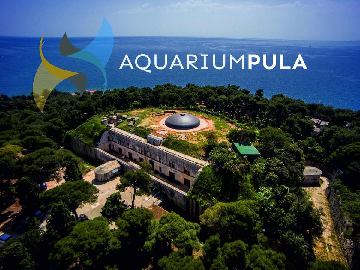 Arena Sunset, Sea Coloseum View, 2 Rooms Free Parking Пула Экстерьер фото